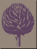 Artichoke  no 14