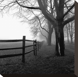 Corner Fence