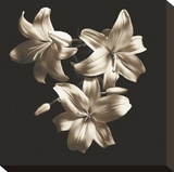 Three Lilies