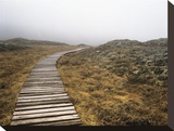 Pathway to Nowhere