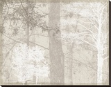 Luminous I