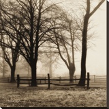 Woods with Fence