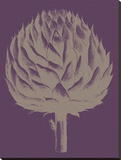 Artichoke  no 13