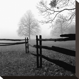 Fence in the Mist