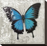 Blue Butterfly II