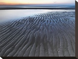 Shore Ripples