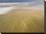Being the Sea 3