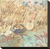 Floral Frenzy Coastal I