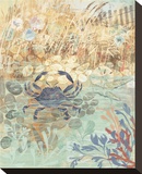 Floral Frenzy Coastal II