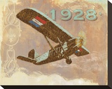 Vintage Plane I