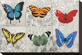 Butterfly Mural