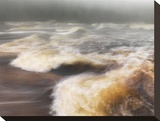 Wild River