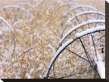 Snow Dust