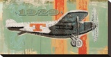 Vintage Plane IV
