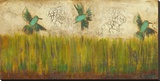 Hummingbirds in Tall Grass II