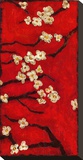 Dogwood Clusters II