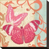 Fuschia Butterfly I