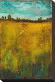 Turquoise Sky meets Golden Field II