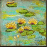 Lotus Lake I