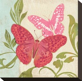 Fuschia Butterfly II