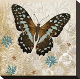 Brown Butterfly