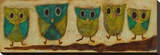 Turquoise Owl Family I