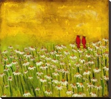 Summer Cardinals