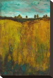 Turquoise Sky meets Golden Field I