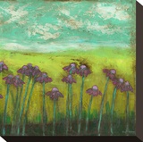 Cone Flowers on Lime Hill II