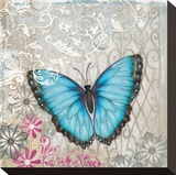 Light Blue Butterfly