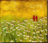 Summer Cardinals