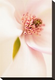 Blooming I
