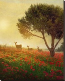 Trees  Poppies and Deer II