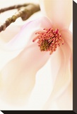 Blooming II