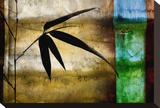 Bamboo Shade II