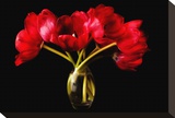 Red Tulips in a Glass Vase