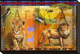 African Lion