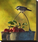 Chickadee Apples