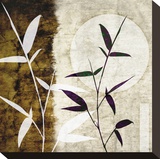 Bamboo Moon I