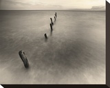 Into the Sea