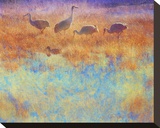 Cranes in Soft Mist