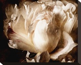 Peony I