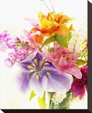 Splendor I