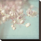 Rhapsody