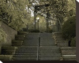 Conservatory Stairs