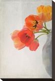 Red Tulips II