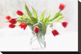 Tulips in Winter
