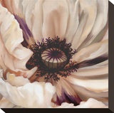 Poppy Dreams I
