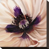 Poppy Dreams II