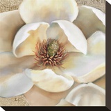 Magnolia Masterpiece II